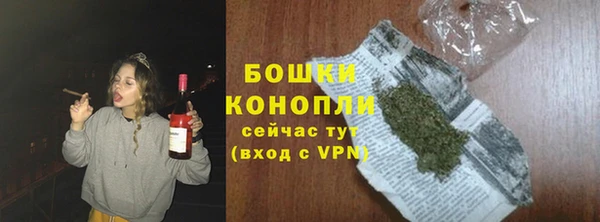 гашик Бородино