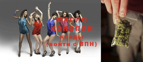 гашик Бородино