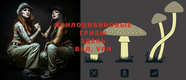 гашик Бородино
