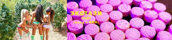 ГАЛЛЮЦИНОГЕННЫЕ ГРИБЫ Бронницы