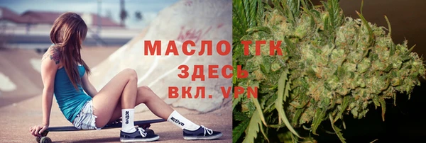 гашик Бородино