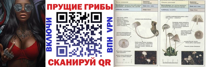 Галлюциногенные грибы прущие грибы сколько стоит Ильский